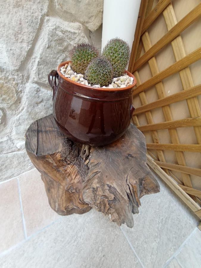 Samele Bed And Breakfast Lecce Dış mekan fotoğraf